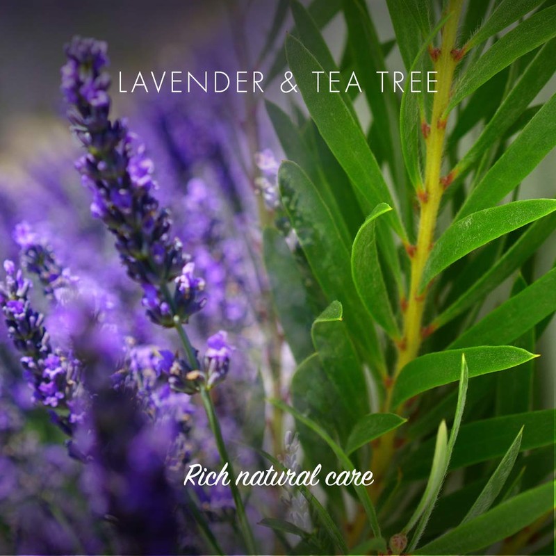 Friendly Soap Handmade Natural Lavender & Tea Tree Shampoo Bar
