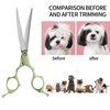 LYNHUAND 6.5" Curved Grooming Scissors for Dogs 440C Stainless Steel