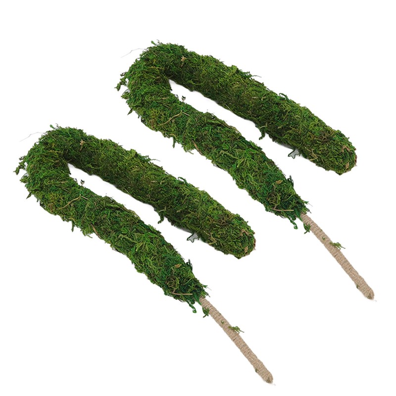 Moss Pole Bendable Safe Moss Plant Rod Plant Support Gardening