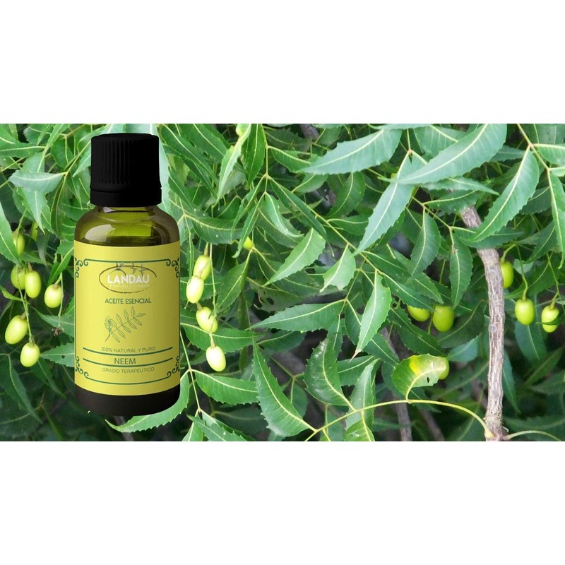 ACEITE ESENCIAL DE NEEM 30 ML