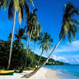 CARIBBEAN DREAM FRAGRANCE OIL - 4 OZ - FOR CANDLE & SOAP MAKING BY VIRGINIA CANDLE SUPPLY - FREE S&H IN USA