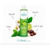 Shampoo Bergamota Original Caida Cabello 530 Ml Shelo Nabel.