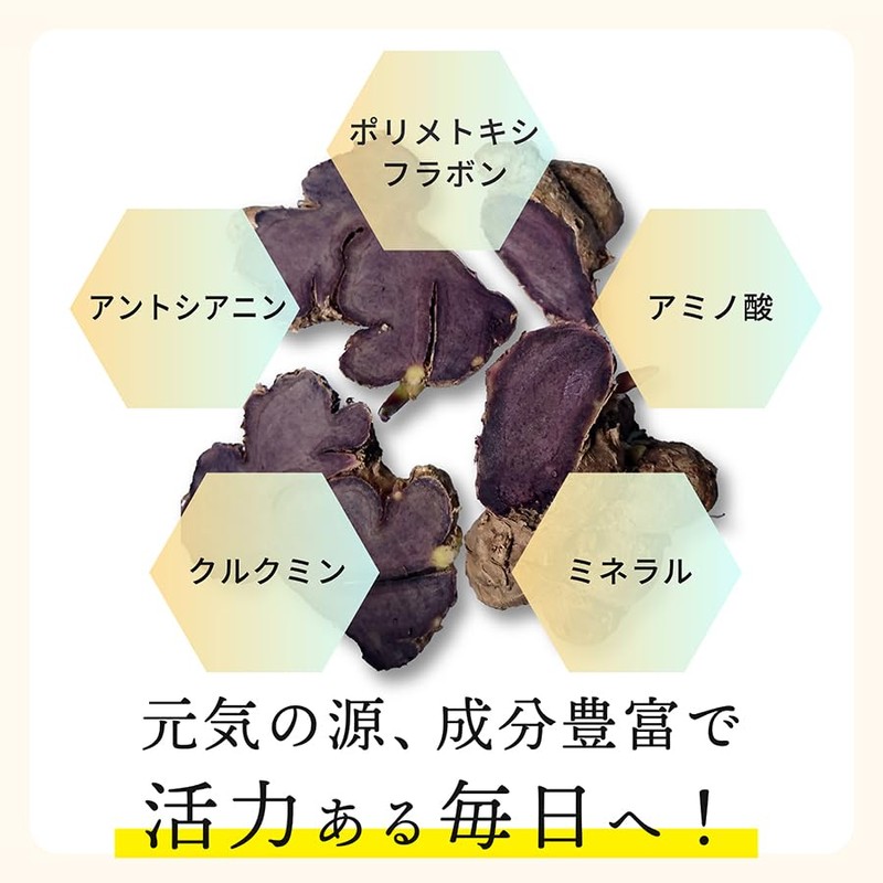 nichie ブラックジンジャー パウダー タイ産 黒しょうが 50g