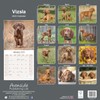 Vizsla Calendar 2025 | 16 months | September 2024 -December