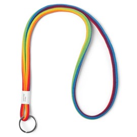 Pantone Design Lanyard, Keychain, Long, for Hanging on the Neck, Robust and Colourful, Pride Colours, Nylon, 18618