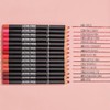 Rimmel London Lasting Finish Lip Liner - 880 Wine Lip