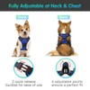 Eagloo Dog Harness No Pull, Walking Pet Harness with 2