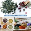 Tsathoggua Stainless Steel Tea Strainer, Tea Infuser for Loose Tea,