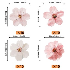 40 PCS Edible Cherry Blossoms Cupcake Toppers Edible Cherry Blossoms Flowers Cake Decorations Wafer Paper Flowers Cupcake Topper for Baby Shower Kids Birthday Party Decorations Supplies Colorful