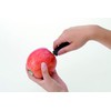 Endoshoji TKG BKTK801 Professional Kitchen Tool, Apple Core Remover with