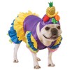 Rubie's Brazilian Bombshell Pet Costume, Medium