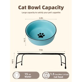 GDCZ Porcelain Raised Cat Bowls with Heighten Metal Stand and Non Slip Bottom 15 Ounces (Turquoise)