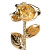 Real Rose Dipped in 24k Gold - Diana Rose (12"
