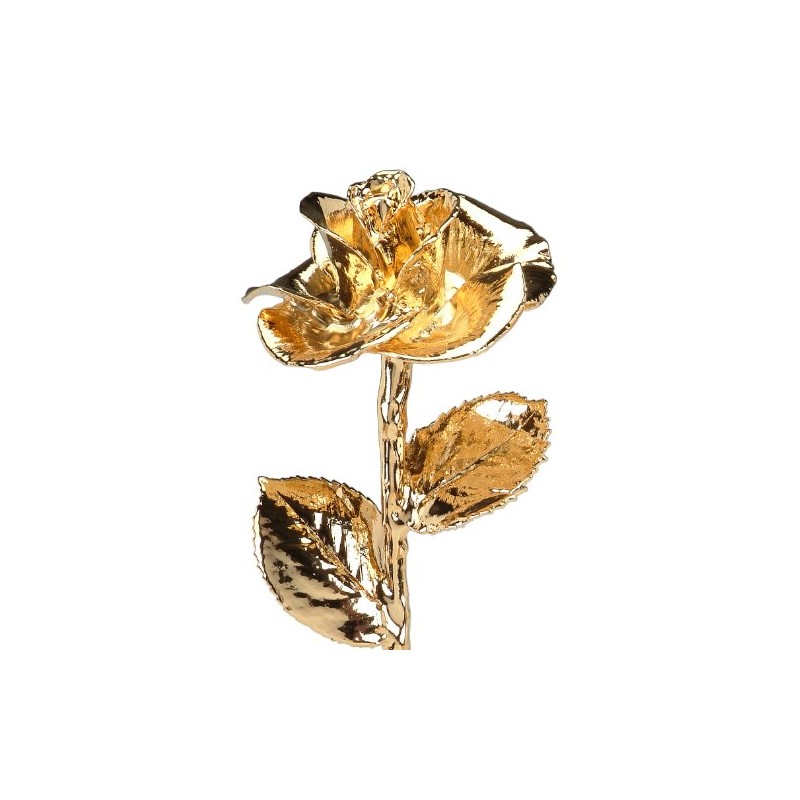 Real Rose Dipped in 24k Gold - Diana Rose (12"