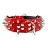 2" Wide Spiked Dog Collars, Leather Dog Collars for Large