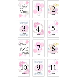 Monthly Cards, Monthly Cards, Up to 3 Years Old, Set of 16, Dull Color, Monthly Photo, New Born Photo, 100th Celebration, Birthday Photo, Monthly Photo Goods (Dull Color, 16, Sheets) (Pink)