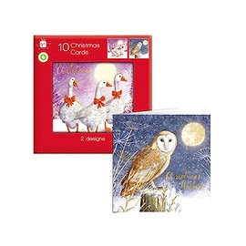 Giftmaker Pack 10 Square Christmas Cards Family Friends 2 Designs Geese & Owls