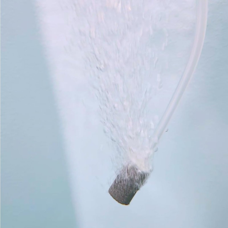 Generador compacto de ozono para inmersión en frío o tina