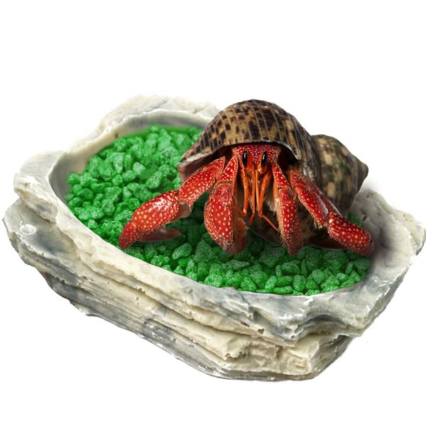 SunGrow Small Hermit Crab Feeding Bowl, for Turtle, Leopard & Crested Gecko, Ball Python, Durable, Multifunctional Decor, Serve as Climbing Toy or Drinking Bowl