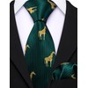 Barry.Wang Hunter Green Ties for Boys 47.2" Necktie Kids and