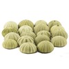 Sea Urchins Shells for Air Plants - 18 Green (1.75-2.5")