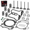 Cylinder Head Exhaust Intake Valve & Spring Gasket Kit for