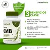 Smart Herb Focus GMB, Suplemento con Ginseng, Melena de León