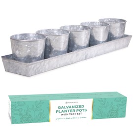 SCANDINORDICA Galvanized Metal Herb Planter, 5 Pots with Drainage Holes, Indoor Outdoor Use, Farmhouse Decor, 19.5x3.9x3.5 inches