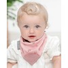 Cheeky Chompers 2-in-1 Baby Dribble Bib With Soft Silicone Teether,