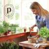 Planters' Choice 9 Herb Window Garden - Indoor Herb Growing