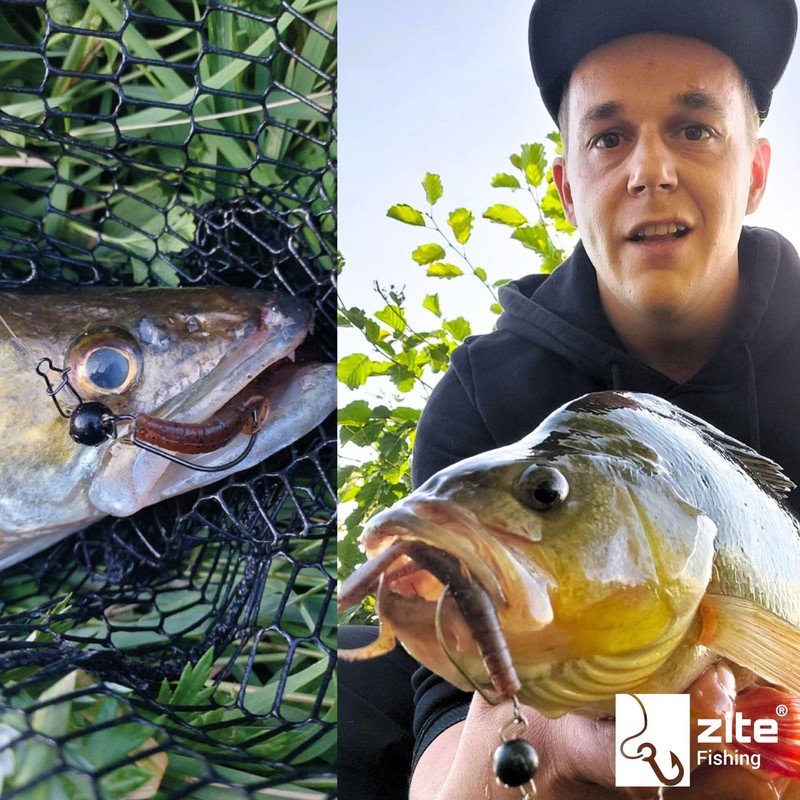 Zite Fishing Inzite Braw Creature Bait 10,5cm | Gummiköder Krebsimitat