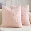 YAERTUN Pack of 2 Faux Fur Throw Pillow Covers Decorative