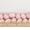12 Set Dinosaur Egg Dig Kit Dinosaur Egg Excavation Kit