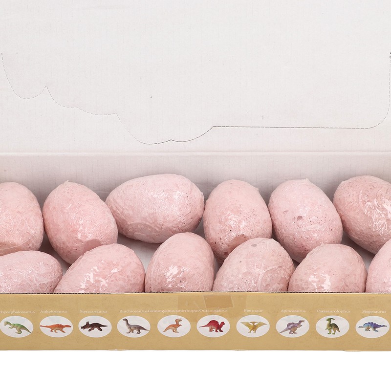 12 Set Dinosaur Egg Dig Kit Dinosaur Egg Excavation Kit