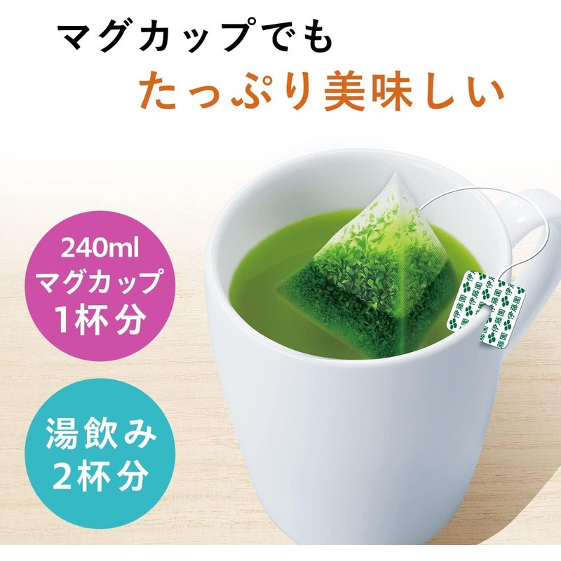Itoen Oi Tea Premium Tea Bag, Green Tea with Uji