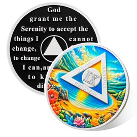 Sober Lake 7 Year Sobriety Coin, Affirmation AA Chips, Addiction Recovery Seven Years Sober Medallions, Celebrating Anniversary Token, Alcoholics Anonymous Sobriety Gifts for Men Women