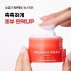 Nature Republic [네이처리퍼블릭] 주름개선 기능성 네이처리퍼블릭 콜라겐 드림 크림 50ml