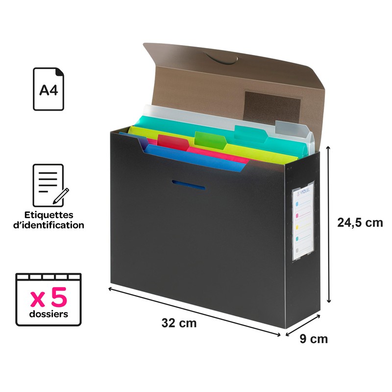 VIQUEL - Filing Box A4 Filled with 5 Removable PROPYGLASS