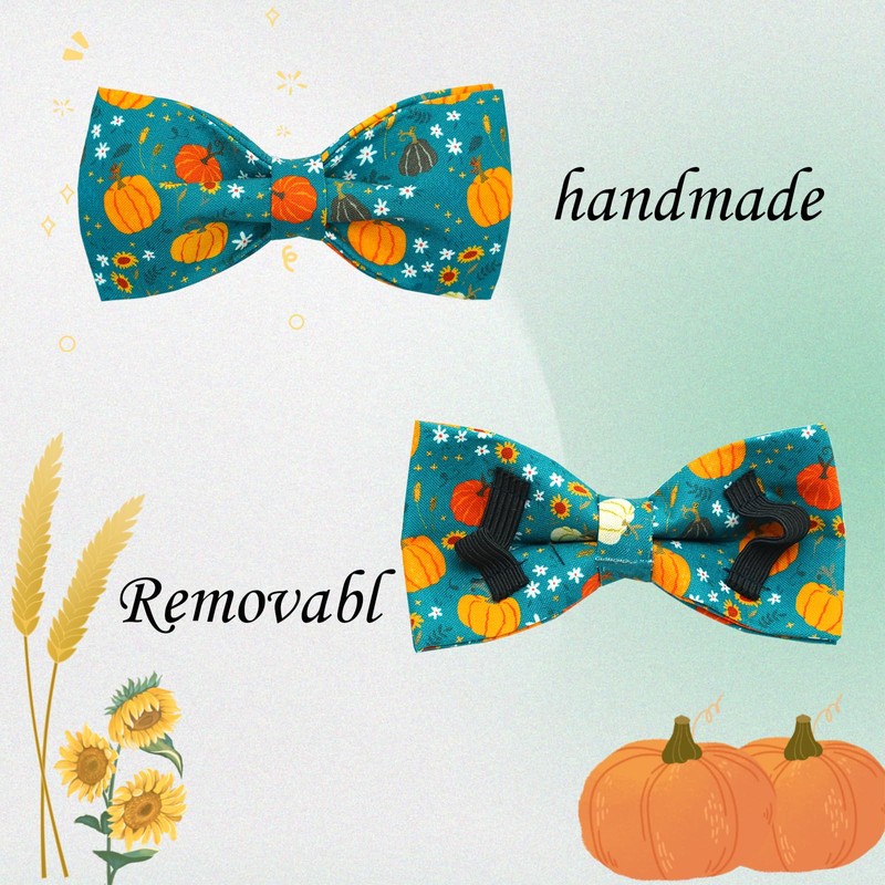 Bobo Rainbow Dog Collar Autumn Pet Collar Pumpkin Print Fall