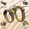 WaggyTech Cat Harness and Leash Escape Proof, Adjustable Soft Kitten