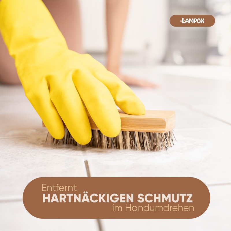 lampox® Set of 2 scrubbing brushes with bristles in hard