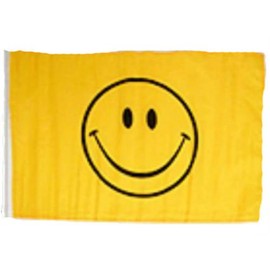 AllFlags ShopForAllYou Decor Flags 12x18 12"x18" Smiley Face Yellow Sleeve Flag Boat Car Garden