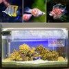 2 Packs Aquarium Breeding Box Fish Hatchery Isolation Box Aquarium
