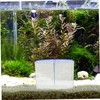 Sosoport Aquarium Fish Breeding Isolation Box Transparent Design Durable Construction