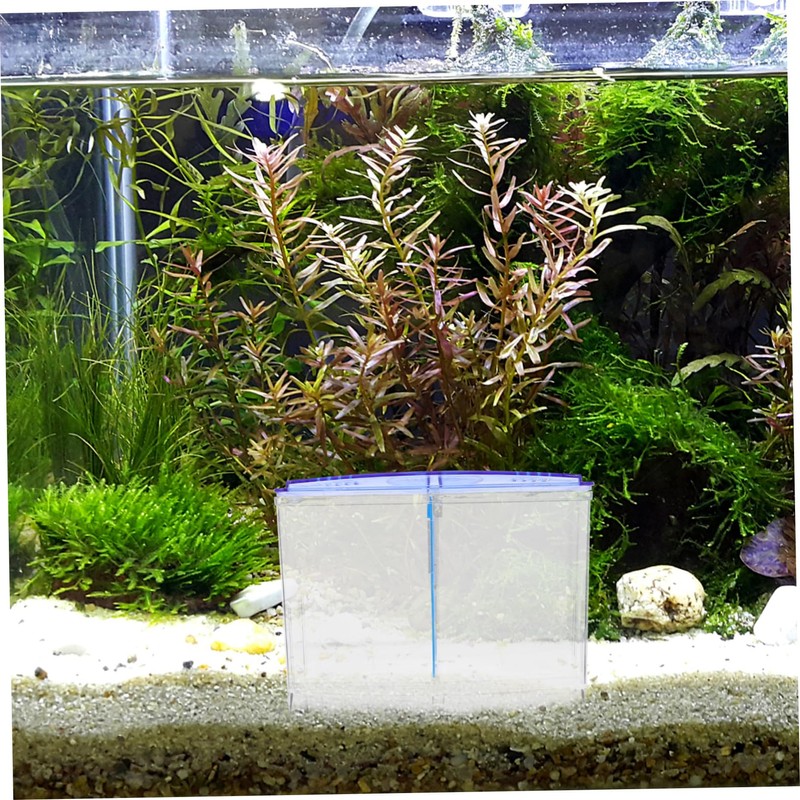 Sosoport Aquarium Fish Breeding Isolation Box Transparent Design Durable Construction