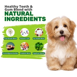 ActiveFur Nutrition No Poop Chews - 120 Duck Flavoured No Poop Soft Dog Chews that Help Deter Dogs from Consuming Stool, Stop Dog Eating Poop Deterrent