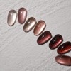 Diesel Signature Dry Rose Magnetic Gel 8-piece set + 2