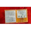 TADIN 2 PACK MORINGA TADIN TEA (48 BAGS) TE DE