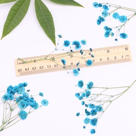 LYFORTZY 30 Branches Lake Blue Pressed Flowers Bulk Dried Flower Kit for Resin , Dried Babys Breath Flower Natural with Tweezer for Crafts Christmas DIY Gift Scrapbooking Photo Props.