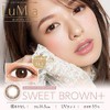 LuMia Lumia Moisture One Day 10 Pieces [Sweet Brown Plus